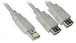CABLE 228 CHICO.jpg