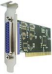 PLACA NS-PLPALP CHICO.jpg